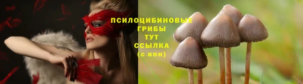 эйфоретик Протвино