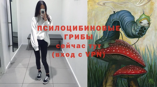 МДПВ Всеволожск