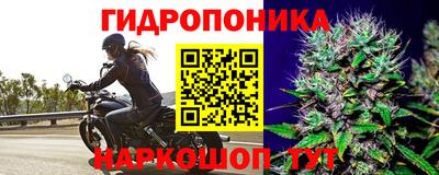 каннабис Новокубанск