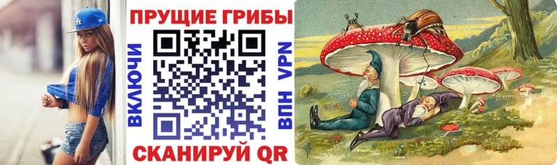 Псилоцибиновые грибы прущие грибы  Саянск 